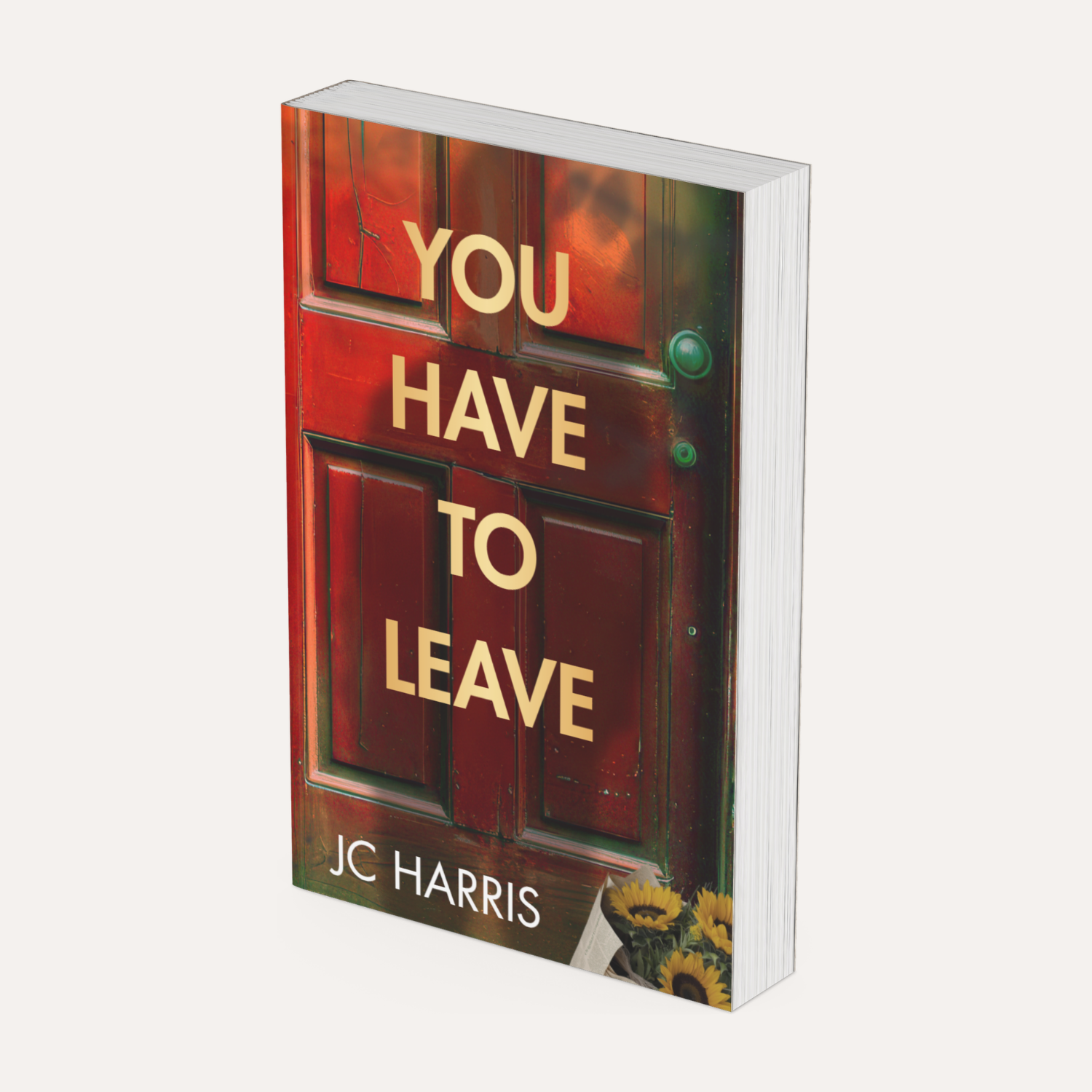 Paperback: You Have To Leave *New Adult Genre 18-25 years*