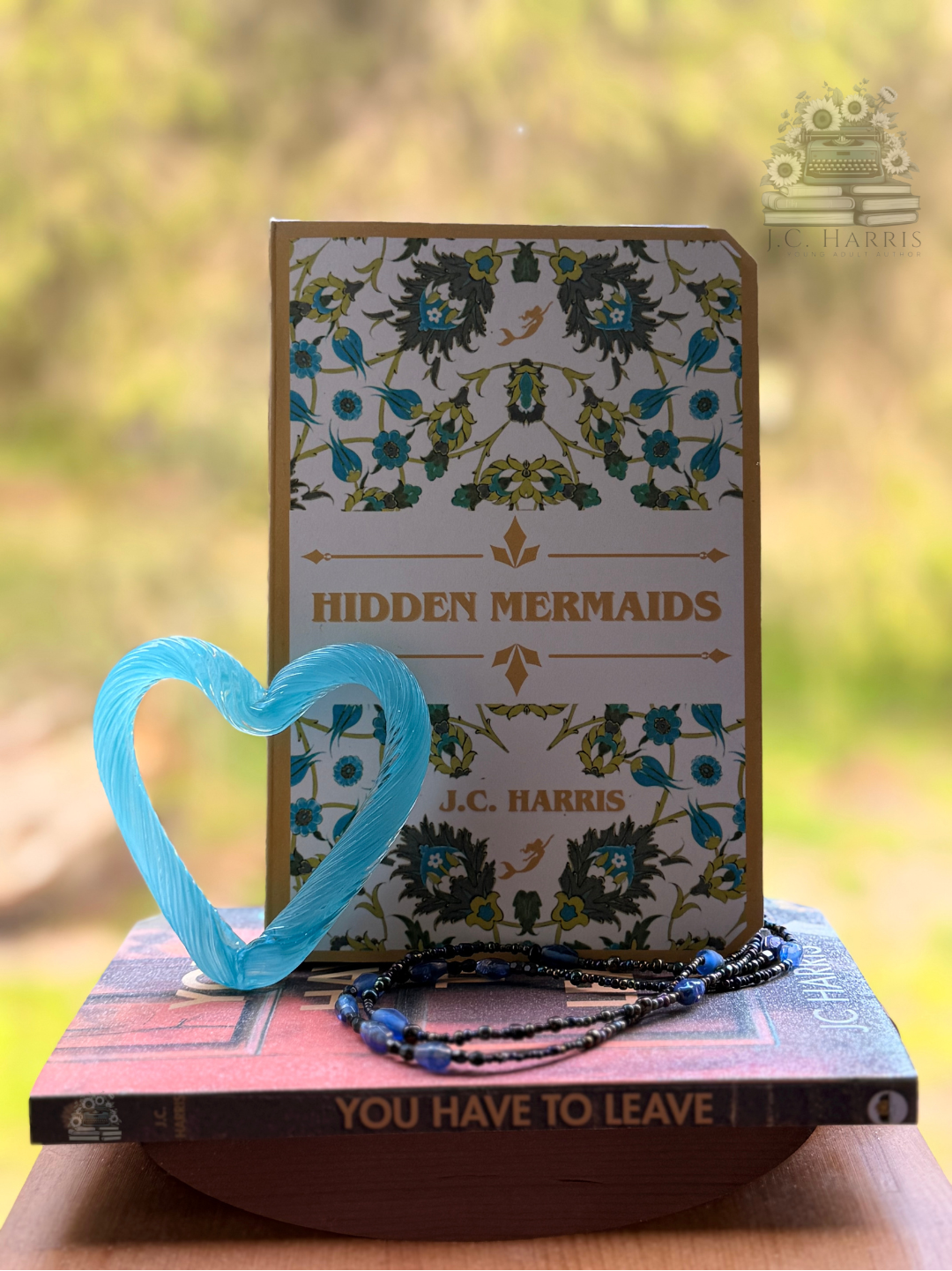 Paperback: Hidden Mermaids