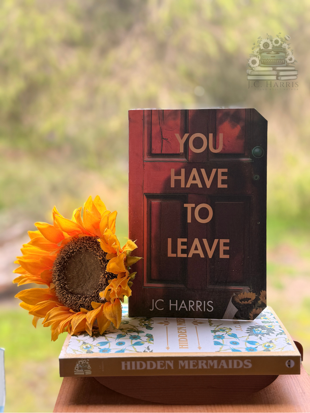 Paperback: You Have To Leave *New Adult Genre 18+ Years*