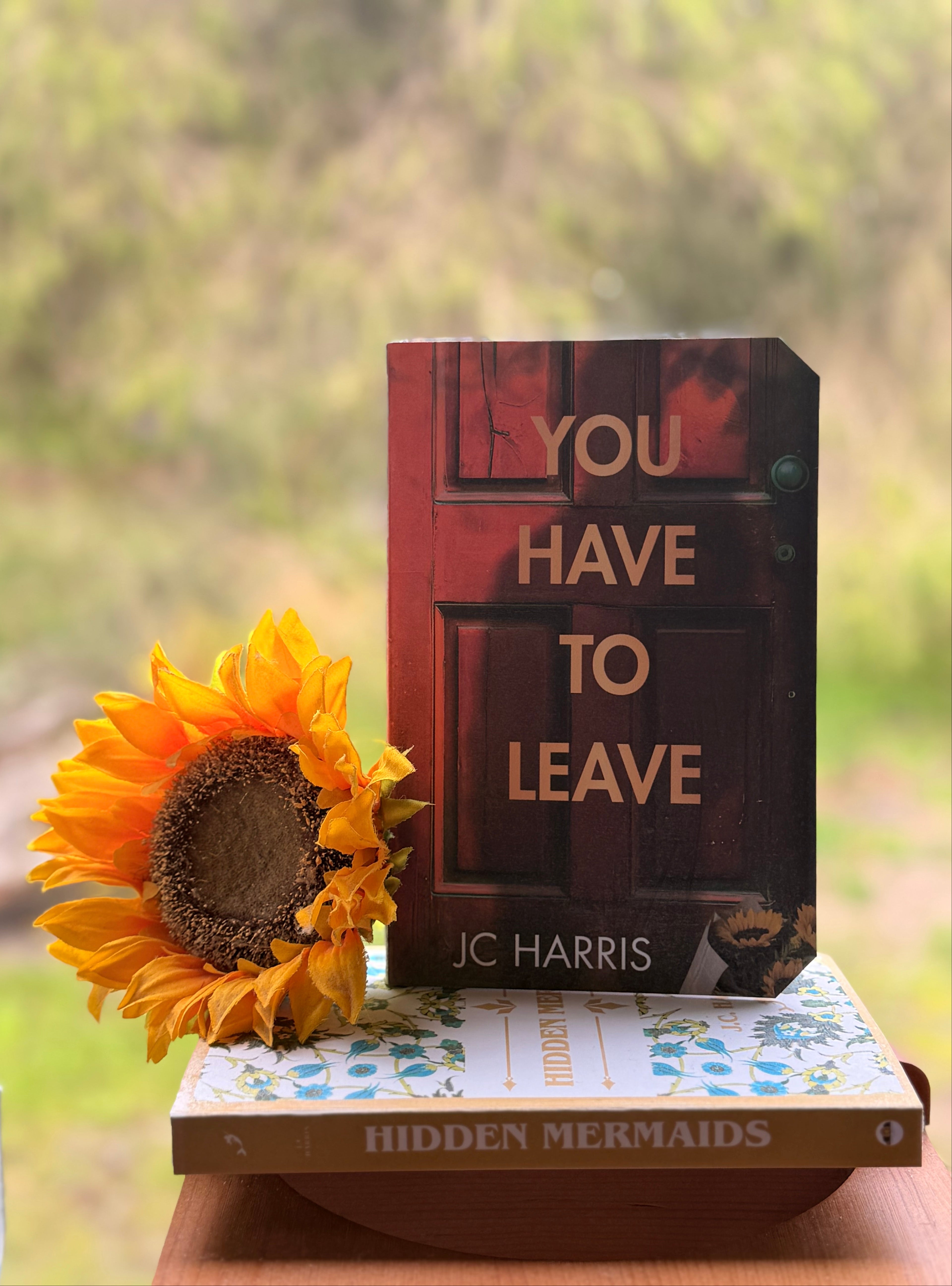 Paperback: You Have To Leave *New Adult Genre 18-25 years*