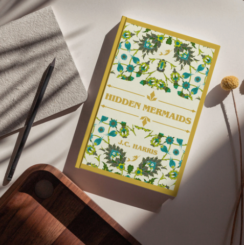 Paperback: Hidden Mermaids